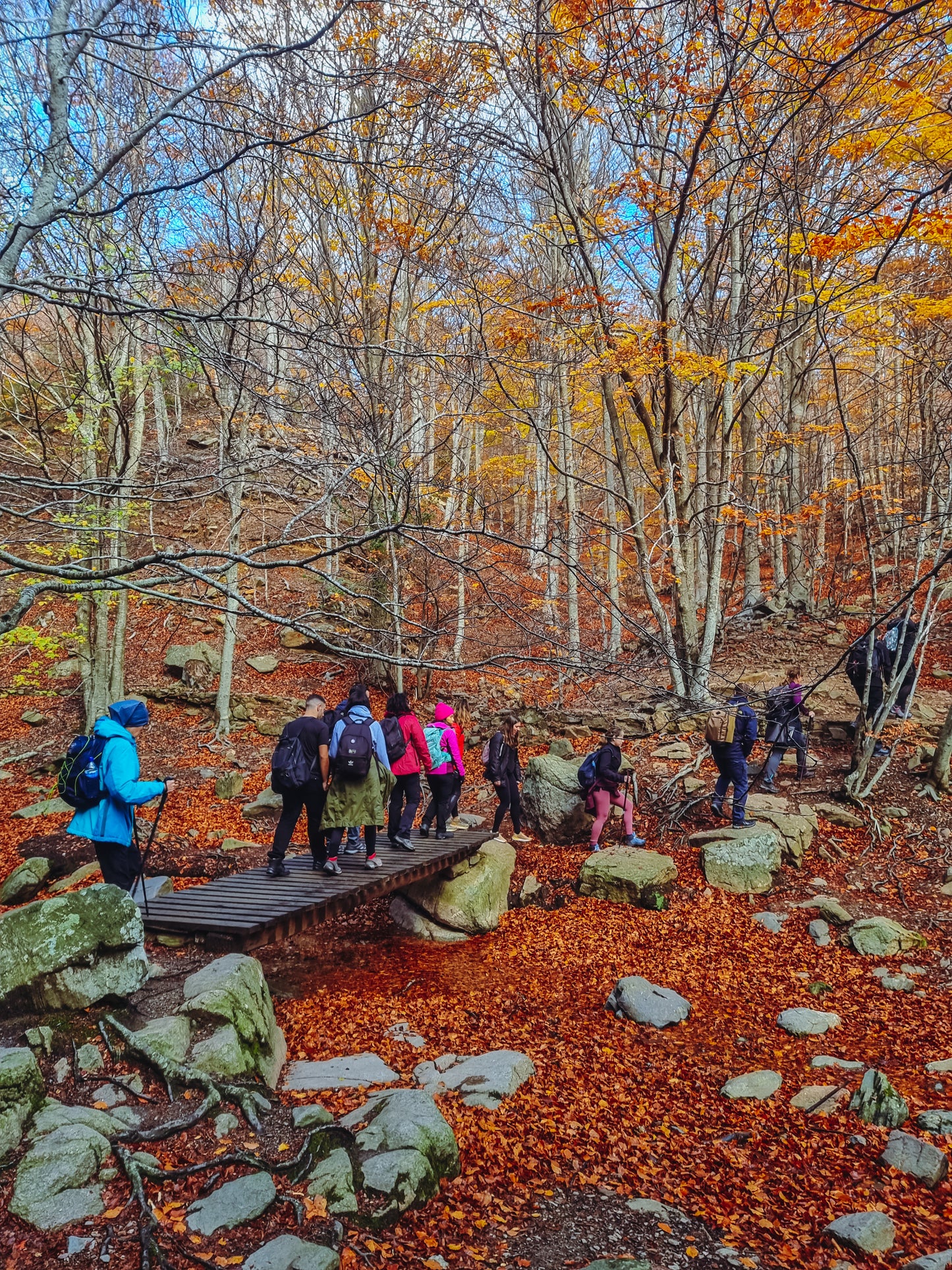 🔒COMPLETO 🍂Preciosa ruta otoñal Montseny 🍁 Turó de L'Home i les Agudes⛰️ Intermedio 10km💪 ➸ 📅04.11.23 💰39€