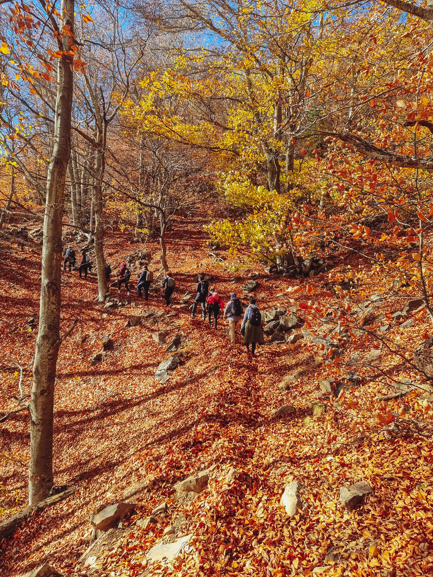 🔒COMPLETO 🍂Preciosa ruta otoñal Montseny 🍁 Turó de L'Home i les Agudes⛰️ Intermedio 10km💪 ➸ 📅04.11.23 💰39€
