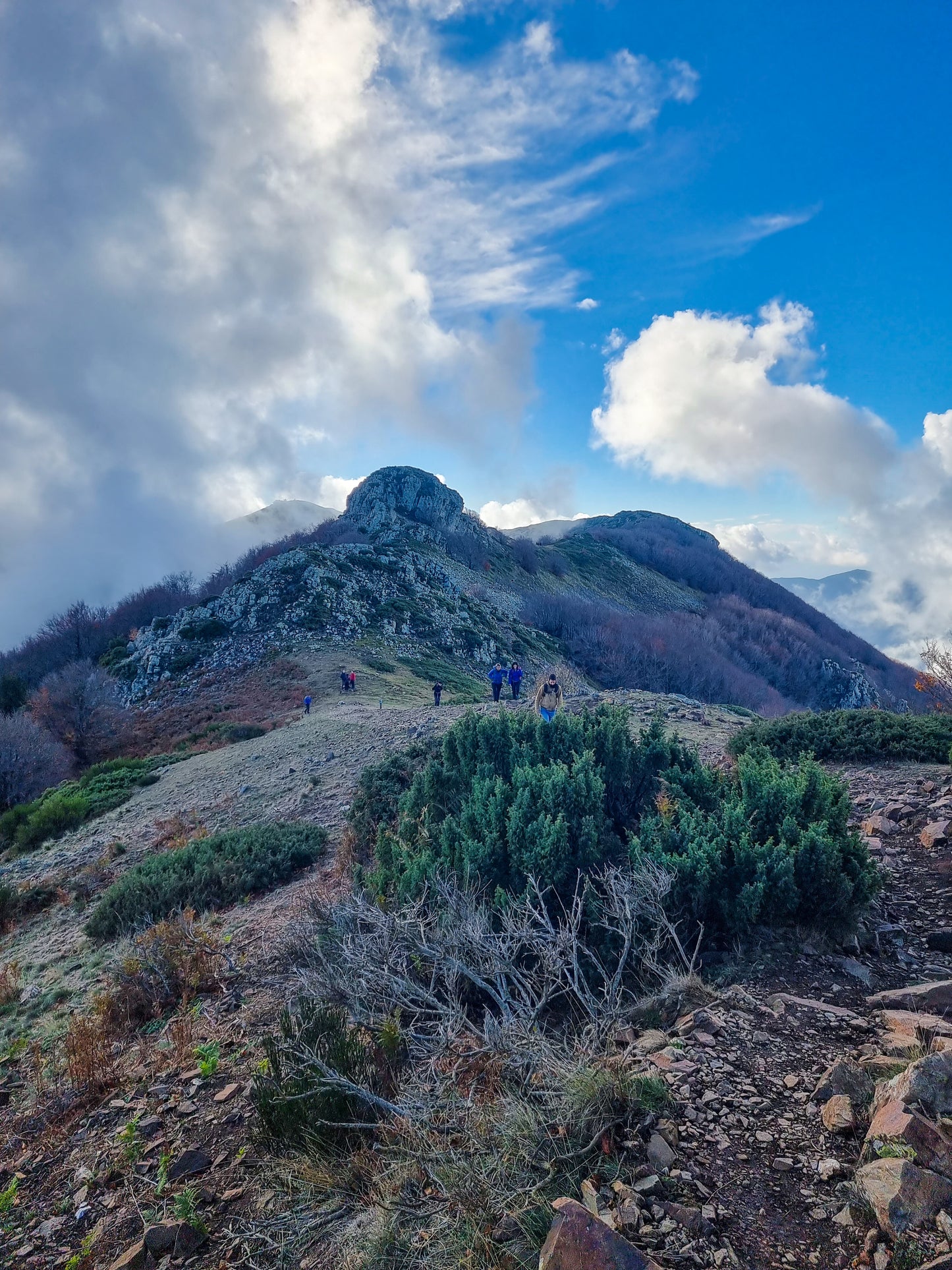 🔒COMPLETO 🍂Preciosa ruta otoñal Montseny 🍁 Turó de L'Home i les Agudes⛰️ Intermedio 10km💪 ➸ 📅04.11.23 💰39€