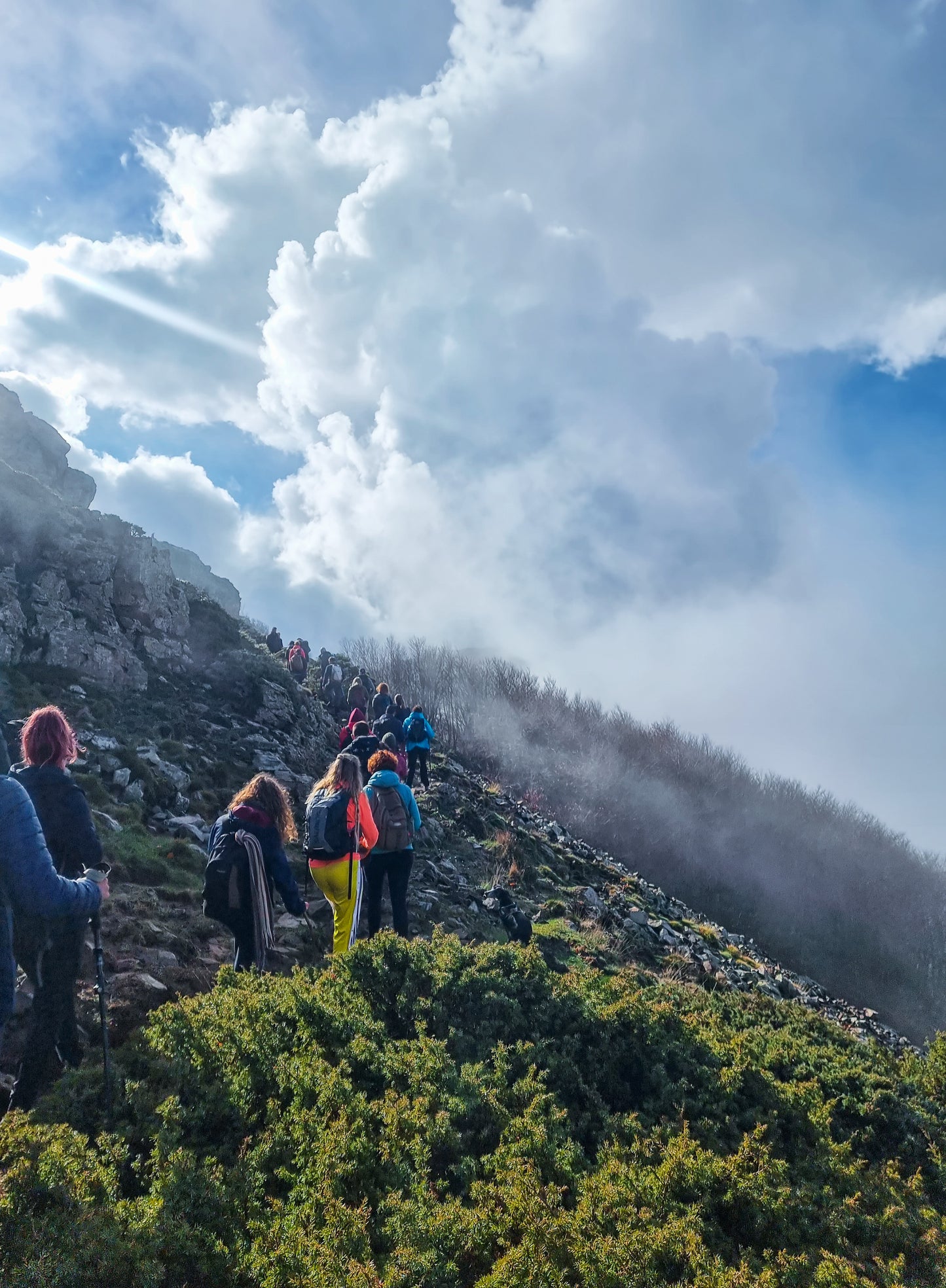 🔒COMPLETO 🍂Preciosa ruta otoñal Montseny 🍁 Turó de L'Home i les Agudes⛰️ Intermedio 10km💪 ➸ 📅04.11.23 💰39€