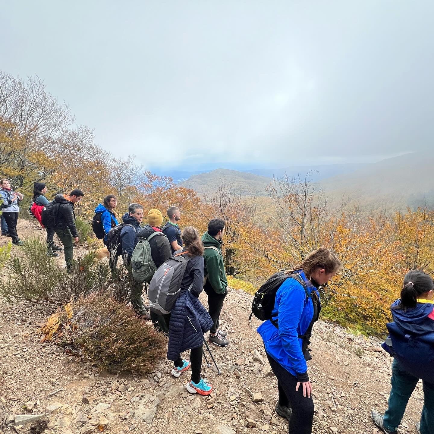 🔥2 plazas 🍂Preciosa ruta otoñal Montseny - Turó de L'Home 🍁 ⛰️ Intermedio 10km 💪 ➸ 📅Sábado, 09.12.23 💰39€