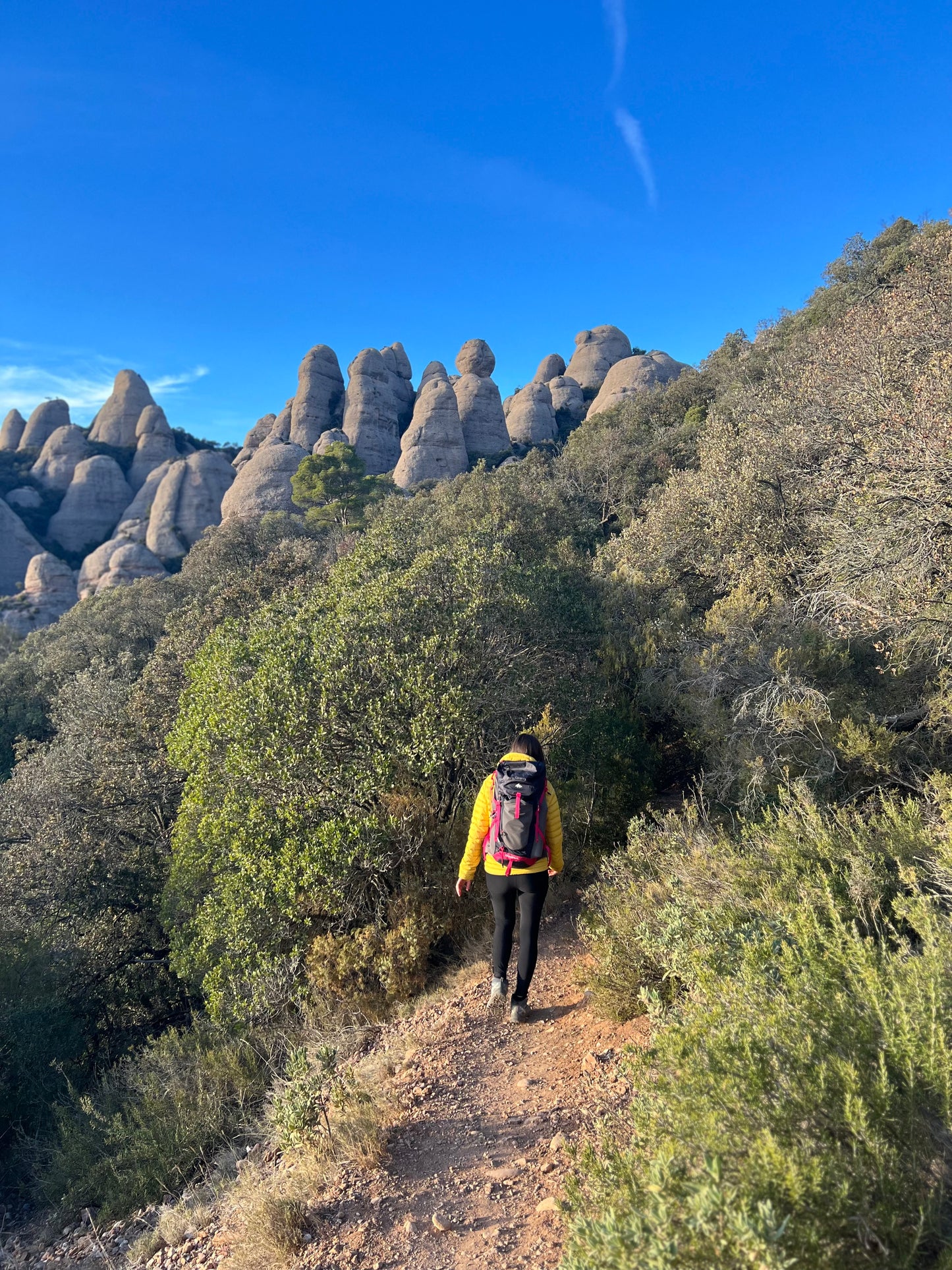👣 45-65 años 🚅EN TREN 👑 Imponente Montserrat - Sant Jeroni 🤩 Intermedio 14km 💪🏽 ➸ 🗓️ Sábado, 28.06.25
