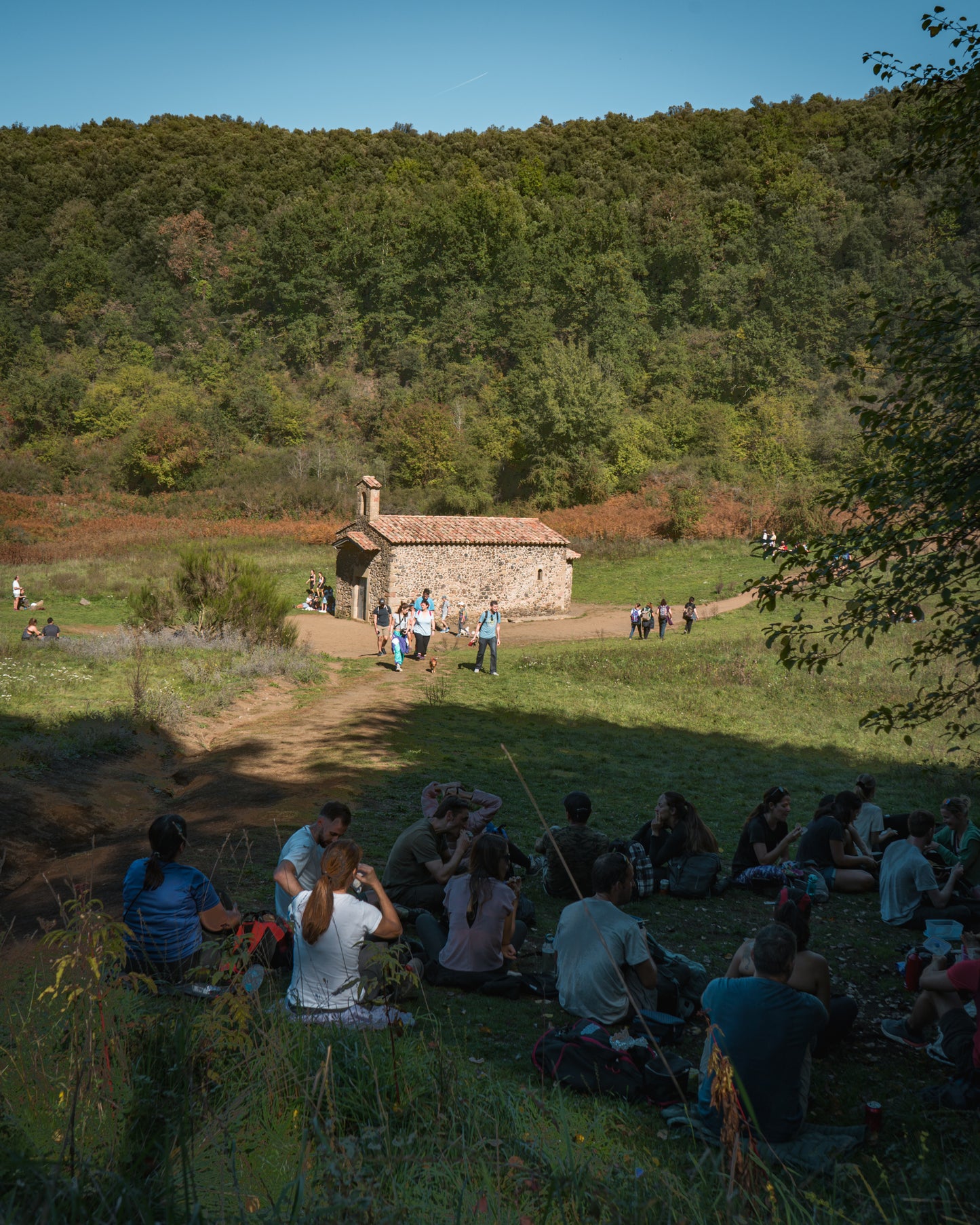 🔒COMPLETO 🌳 La mágica Fageda d'en Jordà y volcanes de la Garrotxa 🌋 Fácil-Intermedio 13km💪 ➸ 📅14.10.23 💰39€