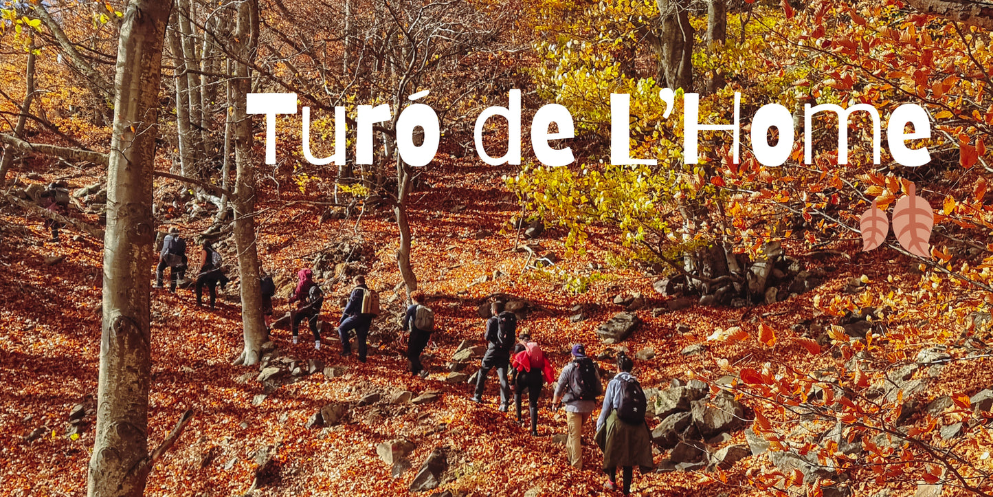 🔥2 plazas 🍂Preciosa ruta otoñal Montseny - Turó de L'Home 🍁 ⛰️ Intermedio 10km 💪 ➸ 📅Sábado, 09.12.23 💰39€