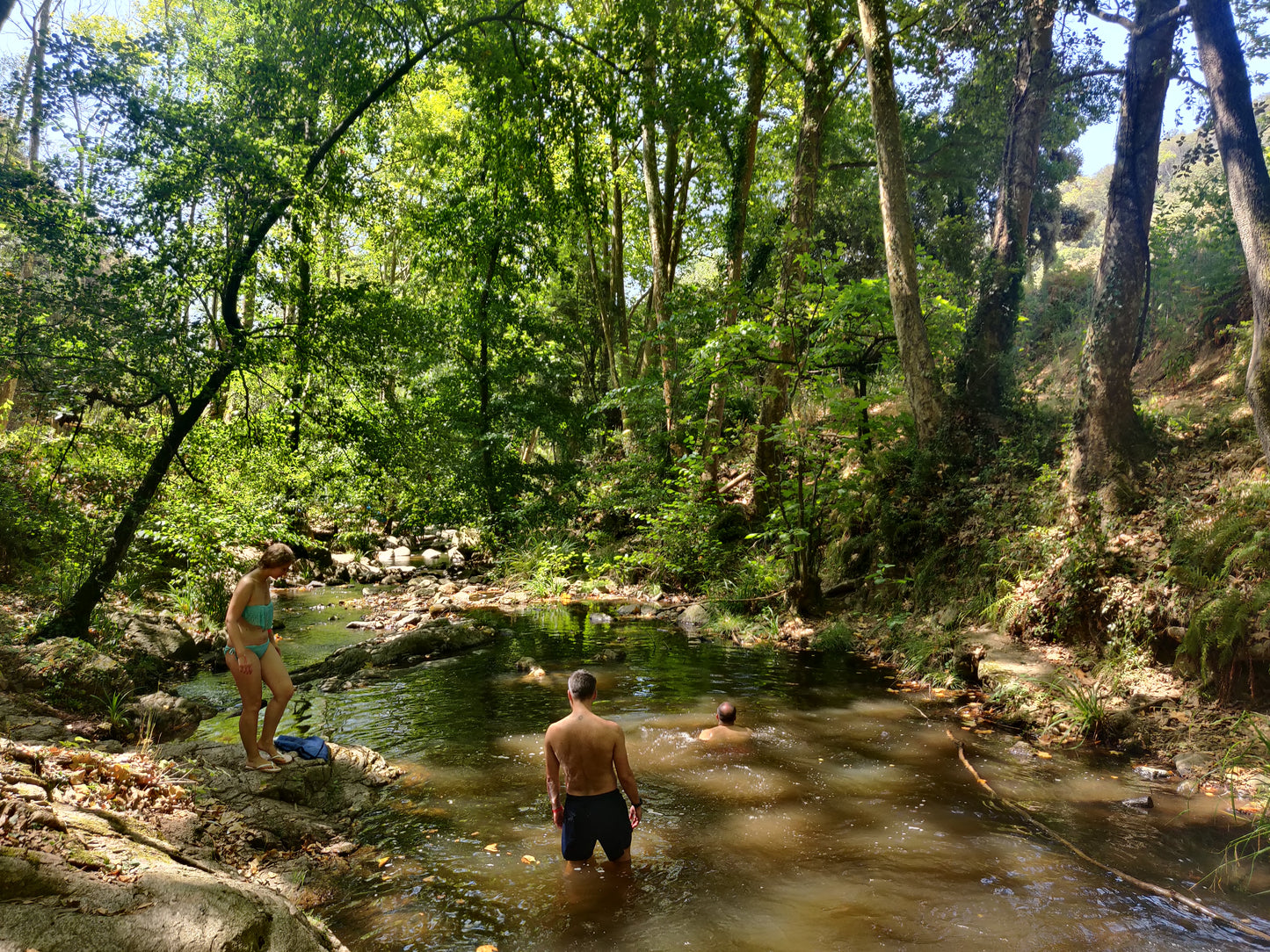 🔥1 plaza 🌸 Bella Gualba - Parque Natural Montseny 🌳 Fácil 12km 💪 ➸ 📅 09.07.23 💰 20€