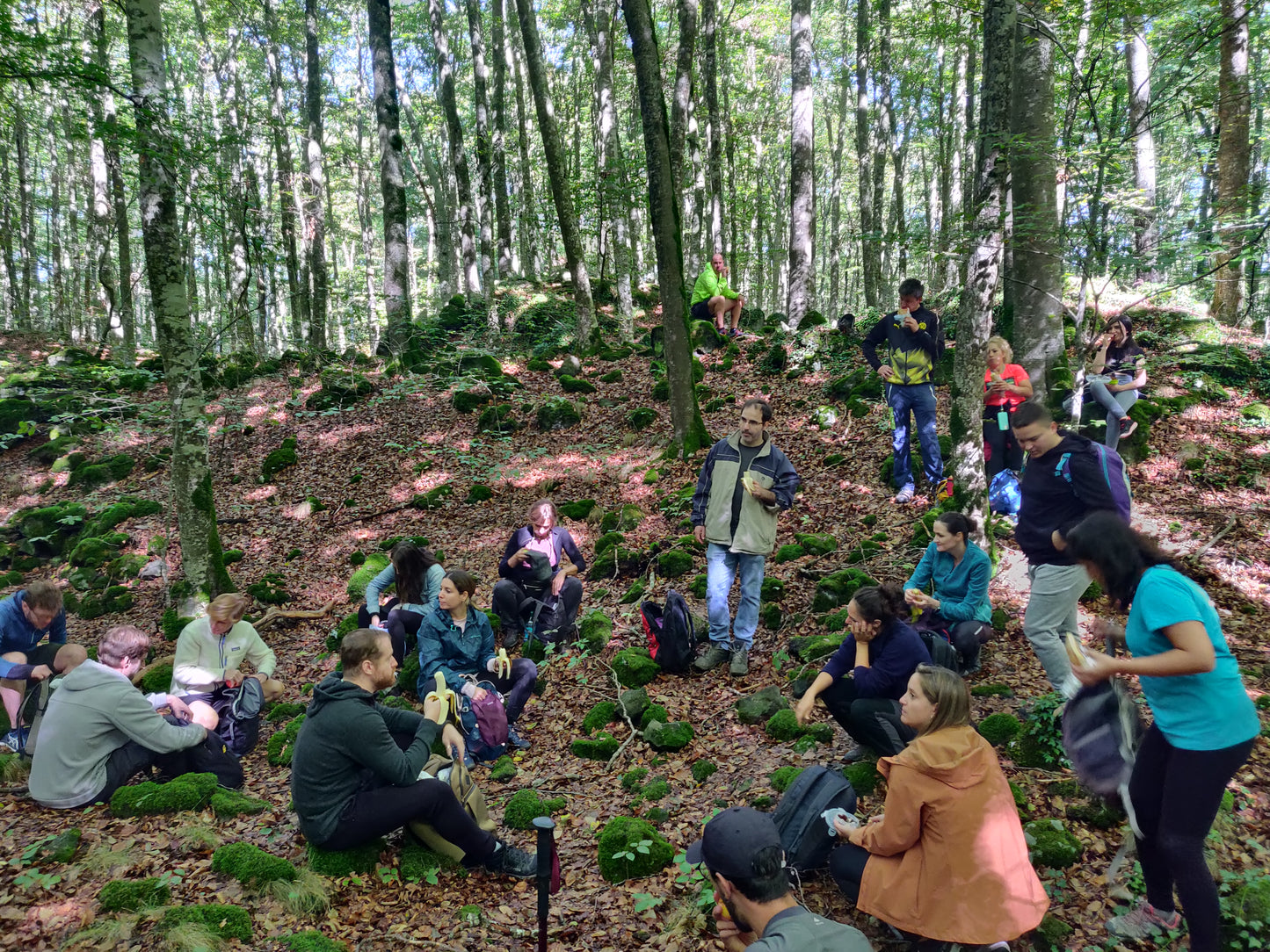 🔒COMPLETO 🌳 La mágica Fageda d'en Jordà y volcanes de la Garrotxa 🌋 Fácil-Intermedio 13km💪 ➸ 📅14.10.23 💰39€