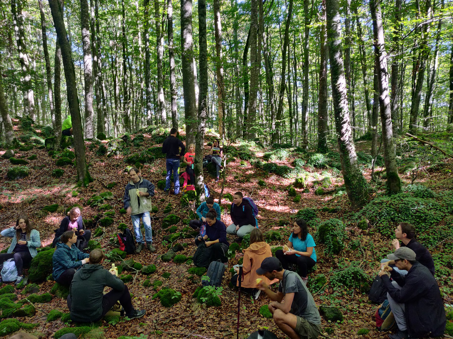 🔒COMPLETO 🌳 La mágica Fageda d'en Jordà y volcanes de la Garrotxa 🌋 Fácil-Intermedio 13km💪 ➸ 📅14.10.23 💰39€
