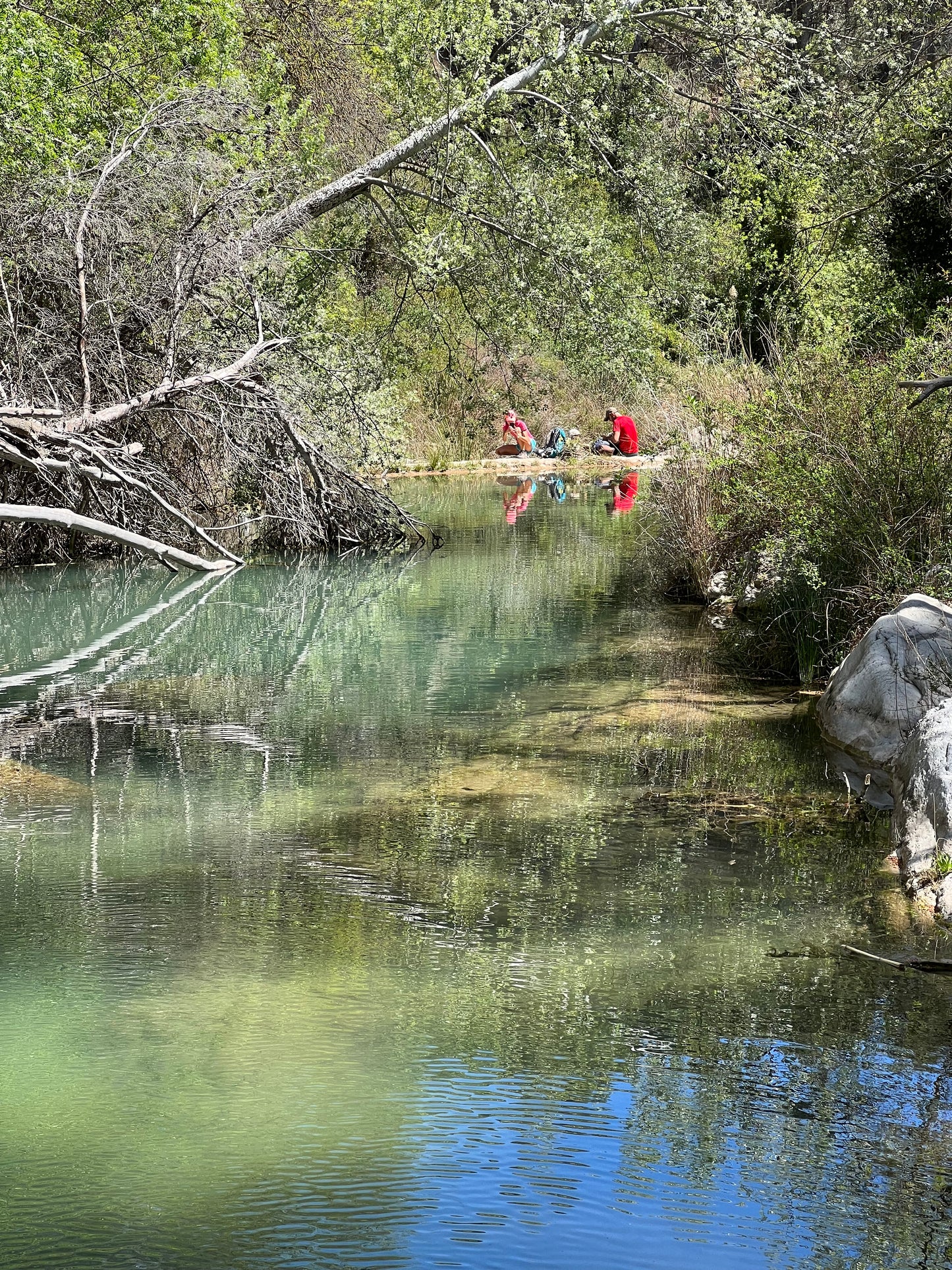 ⛰️ Terres Riu Gaia: puentes y cascadas de Tarragona 🌊 Fácil-Intermedio 10km 💪 ➸ 📅 Sábado, 06.07.24 💰39€