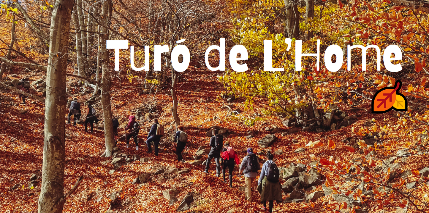 🔒COMPLETO 🍂Preciosa ruta otoñal Montseny 🍁 Turó de L'Home i les Agudes⛰️ Intermedio 10km💪 ➸ 📅04.11.23 💰39€