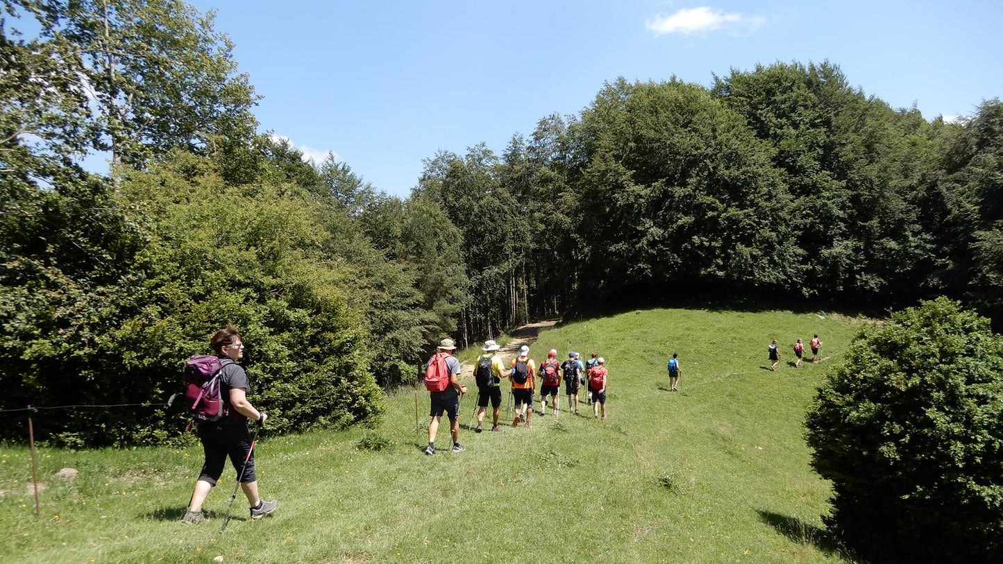 🔒 COMPLETO 🌊 Vidrá, Salt Molí y vistas Pirineos 🏔️ Intermedio 14km 💪 Andreu Arenal 🚌 ➸ 📅 21.01.23 💰 39€