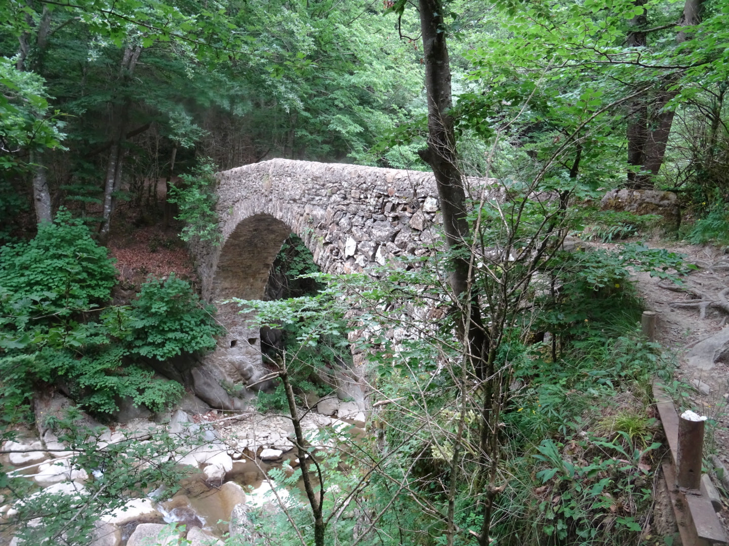 🔒 COMPLETO 🌊 Vidrá, Salt Molí y vistas Pirineos 🏔️ Intermedio 14km 💪 Andreu Arenal 🚌 ➸ 📅 21.01.23 💰 39€