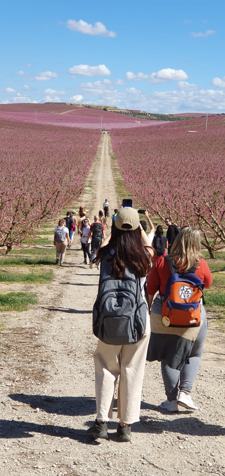 🔒COMPLETO 🌺 Aitona: Viaje hacia un fugaz mar de flores 🌺 Fácil 15km 💪➸ 📅 Sábado, 15.03.25