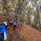 🔥2 plazas 🍂Preciosa ruta otoñal Montseny - Turó de L'Home 🍁 ⛰️ Intermedio 10km 💪 ➸ 📅Sábado, 09.12.23 💰39€