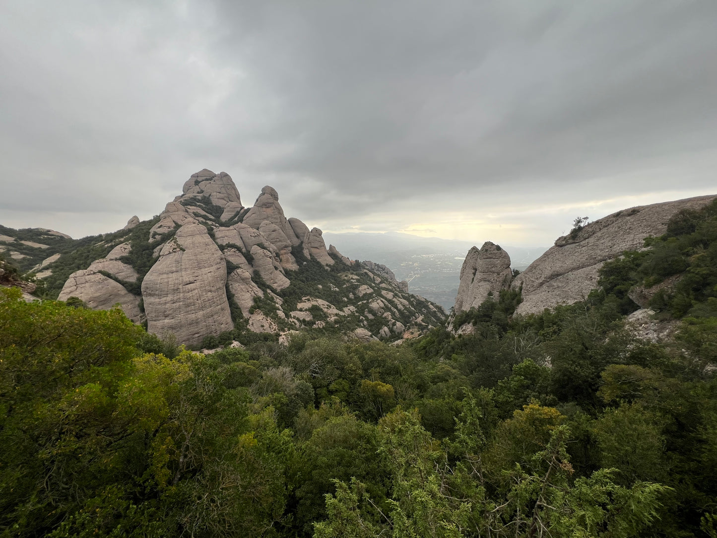 👣 45-65 años 🚅EN TREN 👑 Imponente Montserrat - Sant Jeroni 🤩 Intermedio  14km 💪🏽 ➸ 🗓️ Sábado, 28.06.25