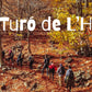 🔥2 plazas 🍂Preciosa ruta otoñal Montseny - Turó de L'Home 🍁 ⛰️ Intermedio 10km 💪 ➸ 📅Sábado, 09.12.23 💰39€