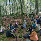 🔒COMPLETO 🌳 La mágica Fageda d'en Jordà y volcanes de la Garrotxa 🌋 Fácil-Intermedio 13km💪 ➸ 📅14.10.23 💰39€