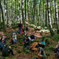 🔒COMPLETO 🌳 La mágica Fageda d'en Jordà y volcanes de la Garrotxa 🌋 Fácil-Intermedio 13km💪 ➸ 📅14.10.23 💰39€