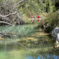 ⛰️ Terres Riu Gaia: puentes y cascadas de Tarragona 🌊 Fácil-Intermedio 10km 💪 ➸ 📅 Sábado, 06.07.24 💰39€