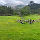 🔒COMPLETO 🤯 Magnífico Pedraforca 360º 🏔️ Intermedio-Avanzado 16km 💪 ➸ 📅 Sábado, 30.11.24