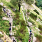 🔒 COMPLETO 🌊⛰️ Increíble Vall de Núria - Pirineos salvajes 🌊⛰️ Avanzado 14km 💪 ➸ 📅 01.07.23 💰 39€