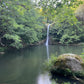 🔒COMPLETO 🌊 Los 4 gorgs secretos de la Garrotxa - Entre aguas y bosques 🧚 Fácil 11 km 💪 ➸ 📅 05.08.23 💰 35€ + 6€
