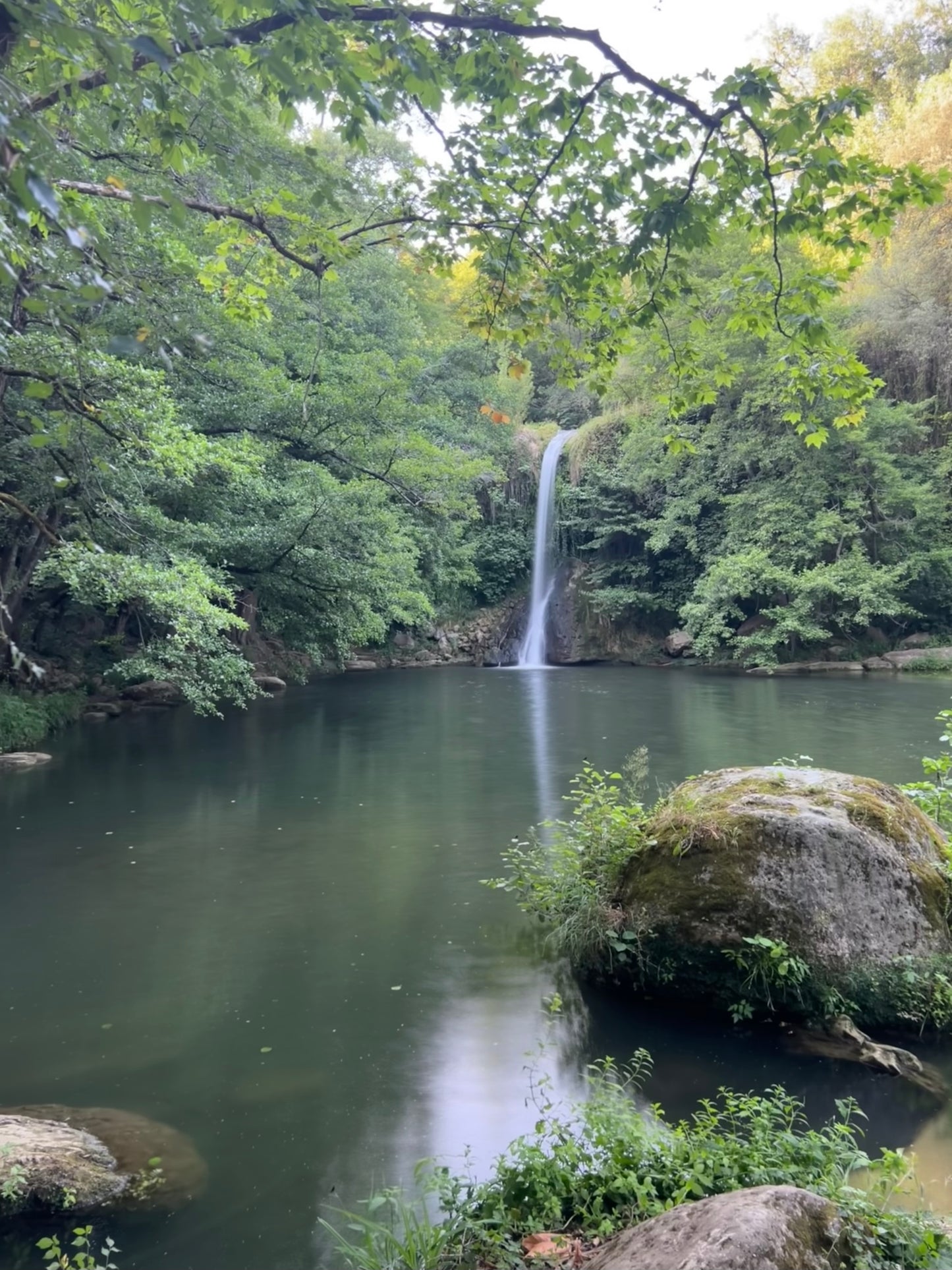 🔒COMPLETO 🌊 Los 4 gorgs secretos de la Garrotxa - Entre aguas y bosques 🧚 Fácil 11 km 💪 ➸ 📅 05.08.23 💰 35€ + 6€