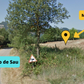 🔥7 plazas 🌄 Majestuoso Tavertet y Pantano de Sau 🌊⛪ Intermedio-Avanzado 14km 💪 ➸ 📅 13.05.23 💰 39€