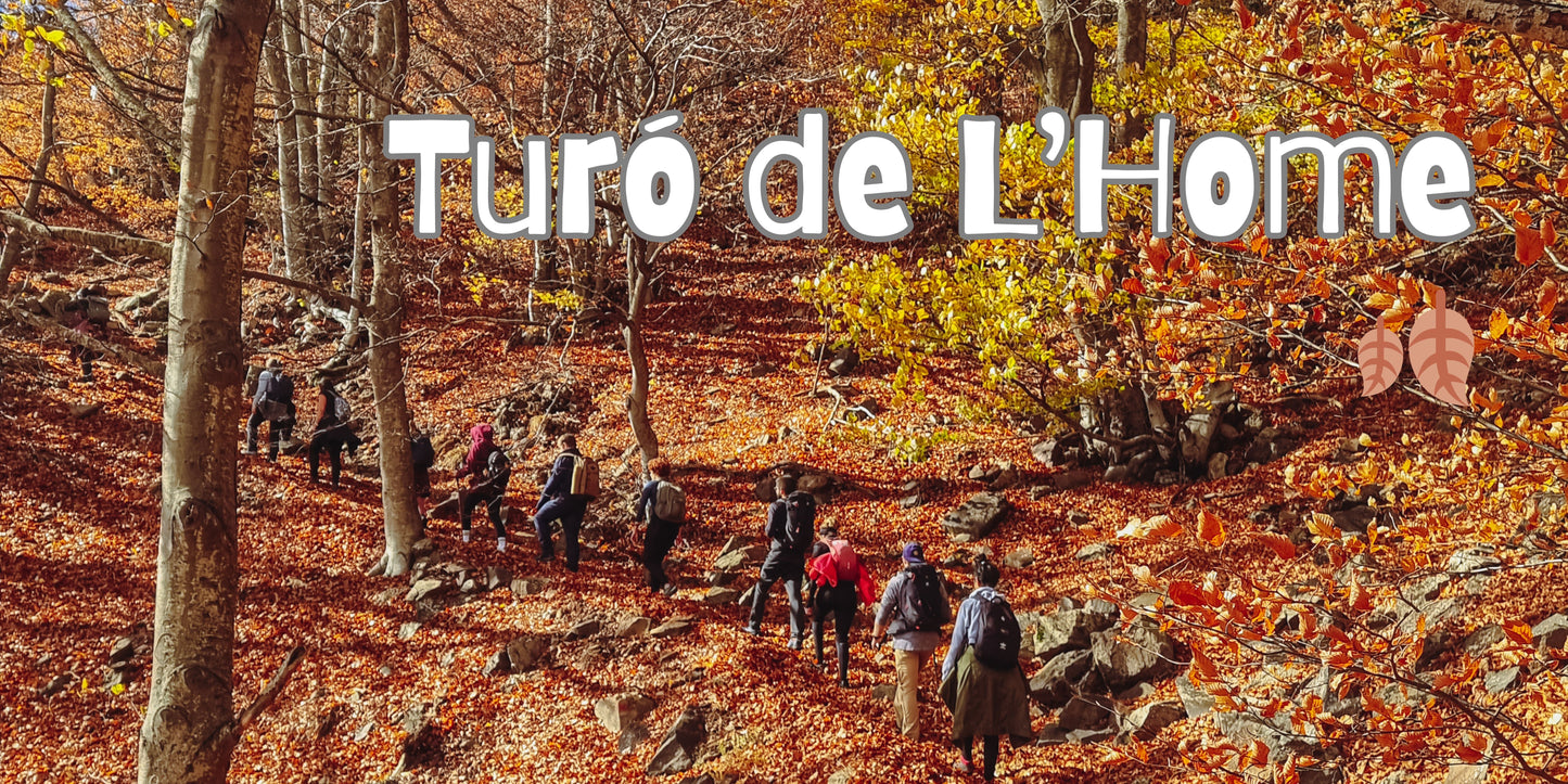 🔥2 plazas 🍂 Preciosa ruta otoñal Montseny - Turó de L'Home 🍁 Intermedio 11km 💪 ➸ 📅 Sábado, 09.11.24