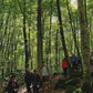 🔒 SOLD OUT 🌳🌋 Mágica Fageda d'en Jordà y volcanes 🍂 Magic beech forest & volcanoes 🌋🌳 ➸ 📅15.10.22 - 💰35€