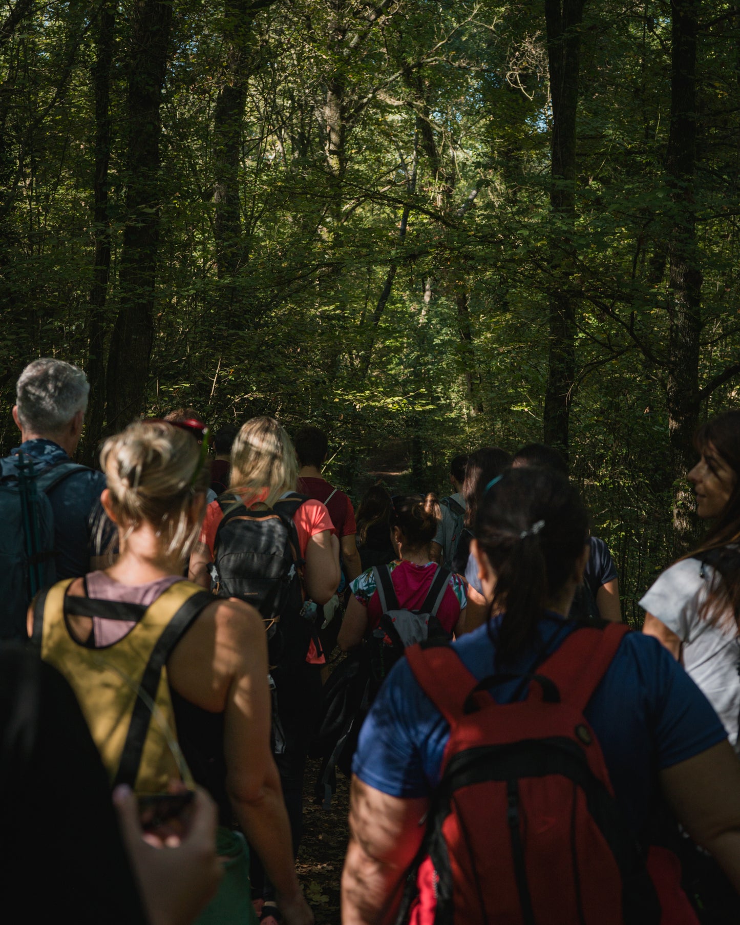 🔥5 plazas 🌳 Preciosa ruta primaveral: Fageda d'en Jordà y volcanes extintos 🌋 Fácil-Intermedio 13km 💪 ➸ 📅 13.05.23 💰 39€