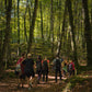 🔥5 plazas 🌳 Preciosa ruta primaveral: Fageda d'en Jordà y volcanes extintos 🌋 Fácil-Intermedio 13km 💪 ➸ 📅 13.05.23 💰 39€