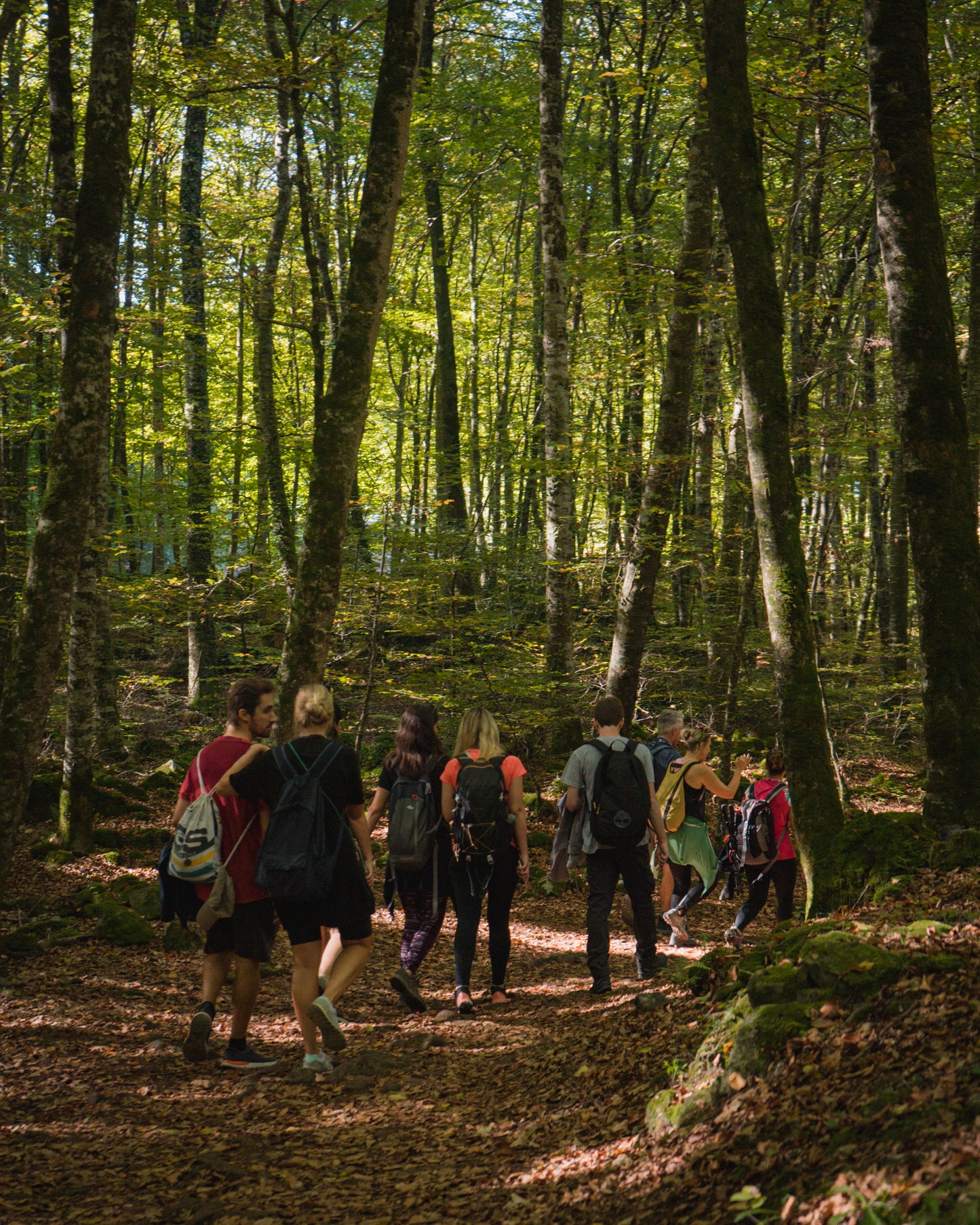 🔥5 plazas 🌳 Preciosa ruta primaveral: Fageda d'en Jordà y volcanes extintos 🌋 Fácil-Intermedio 13km 💪 ➸ 📅 13.05.23 💰 39€