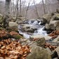 🔒COMPLETO 🍂 Preciosa ruta otoñal Montseny ⛰️ Turó de L'Home i les Agudes 🌞 Intermedio 💪 ➸ 📅19.11.22 - 💰35€