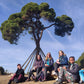 🌞 Baixador Vallvidriera - Sant Cugat 12km ⛰️ Easy and in BCN! 🌳 ➸ 📅18.12.2022 💰15€