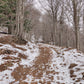 🔒COMPLETO 🍂 Preciosa ruta otoñal Montseny ⛰️ Turó de L'Home i les Agudes 🌞 Intermedio 💪 ➸ 📅19.11.22 - 💰35€