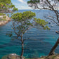 🔒 COMPLETO 🌊 Bellísimo Camí de Ronda 🌞 Platja d'Aro - Palamós 🏝️ Intermedio 10km 💪  ➸ 📅 18.03.23 💰 39€